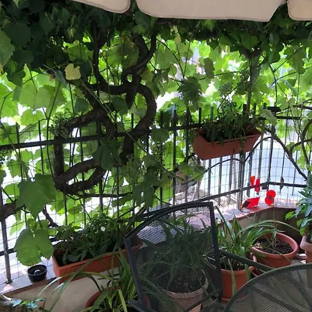 בית הארחה Raggio Di Sole *